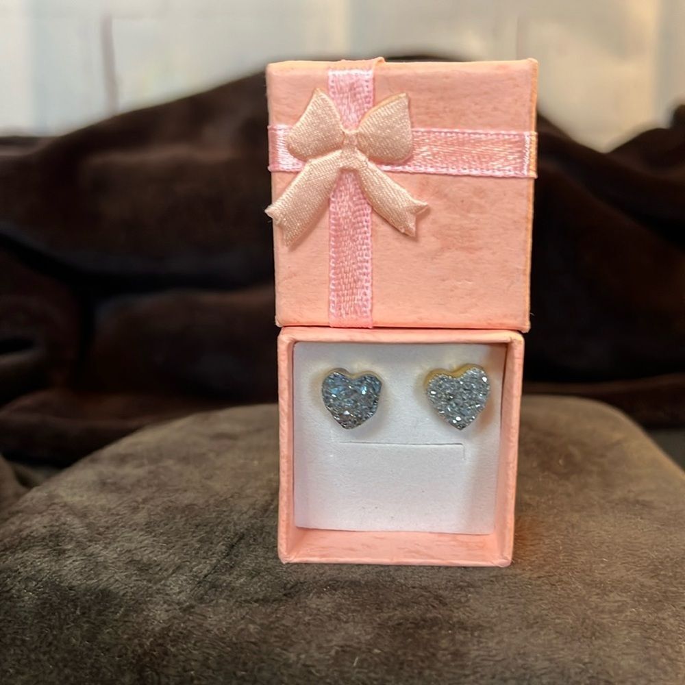 Gorgeous Titanium Druzy Heart Shaped Stud Earrings
